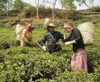 Agri Tourism <br/> Experiences